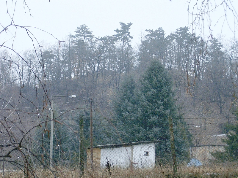 20100220 080.jpg
